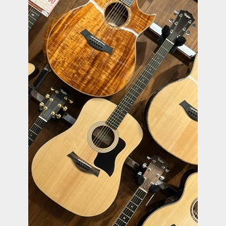 Taylor  【待望の入荷!】110e