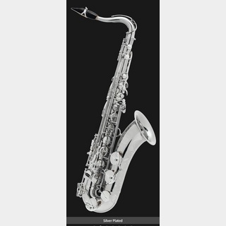 管楽器・吹奏楽器、H. Selmerの検索結果【楽器検索デジマート】