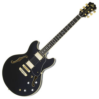 Aria Pro IIアリアプロ2 TA-TONIC BK セミアコースティックギター ハードケース付き
