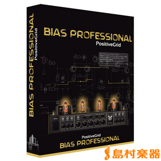 Positive Grid 【特価】BIAS Amp Professional Promo アンプシミュレーター【在庫限り】