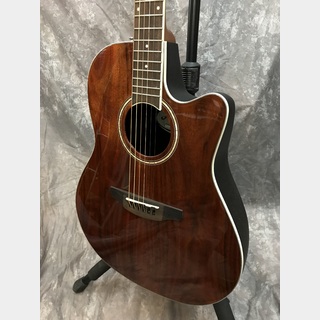 アコースティックギター／エレクトリック・アコースティックギター