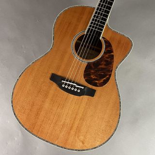 Takamine LTD2022