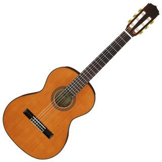 ARIAA-20-58 ミニクラシックギター 580mm 杉単板／サペリ ソフトケース付き