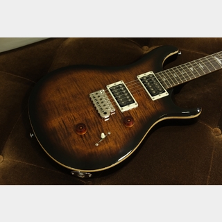 Paul Reed Smith(PRS) SE Custom 24 / Black Gold Sunburst