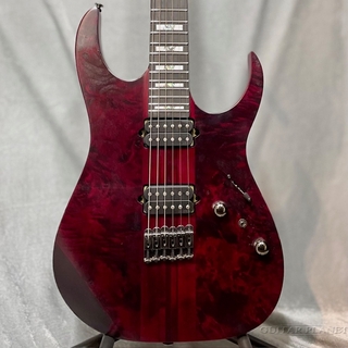 IBANEZ RGの検索結果【楽器検索デジマート】