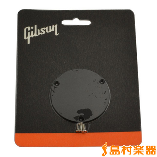 Gibson PRSP-010 スイッチパネルPRSP010