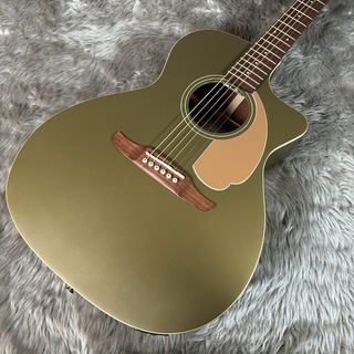 Newporter Playerの検索結果【楽器検索デジマート】