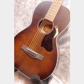 アコースティックギター／エレクトリック・アコースティックギター