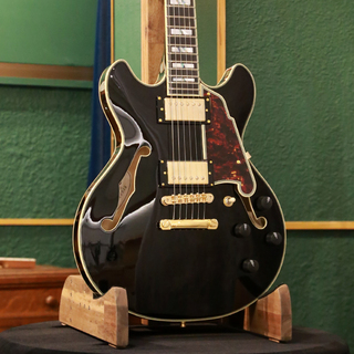 D'Angelico 【アウトレットセール】【ストラッププレゼントキャンペーン】Excel Mini DC, Black