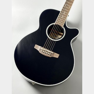 アコースティックギター／エレクトリック・アコースティックギター