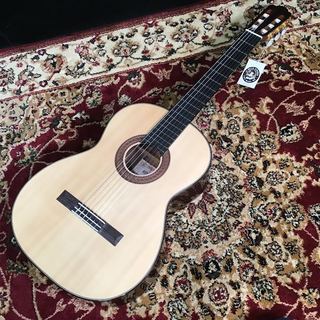 ASTURIAS TSUJI S-1/S/SM 650