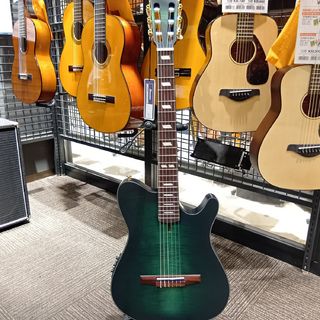 Ibanez FRH20FMN エレガットギター