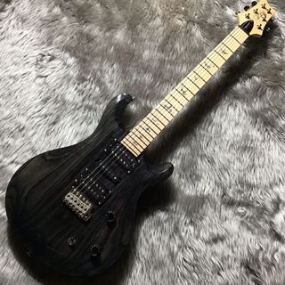 Paul Reed Smith(PRS)SE Swanp Ash Special エレキギター