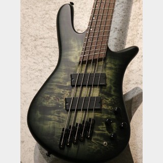 Spector NS Dimension5 -Haunted Moss Matte-【マルチスケール】【4.21kg】