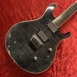 Paul Reed Smith(PRS) SE Torero【USED】