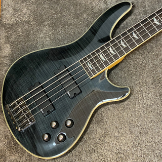 ベース、SCHECTERの検索結果【楽器検索デジマート】