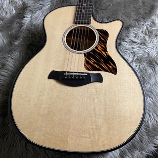 Taylor 50th Anniversary Builder's Edition 314ce LTD【現物画像】【最大36回分割無金利キャンペーン実施中】