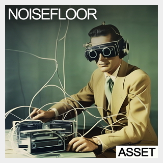 INDUSTRIAL STRENGTH NOISEFLOOR - ASSET