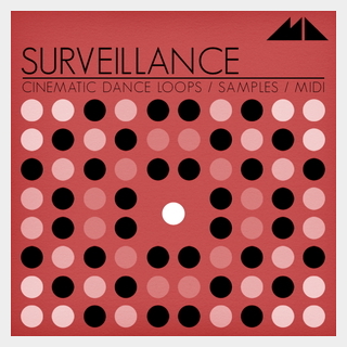 MODEAUDIO SURVEILLANCE