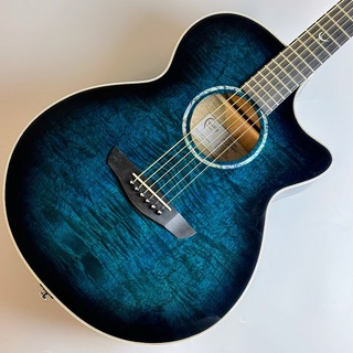 アコースティックギター／エレクトリック・アコースティックギター