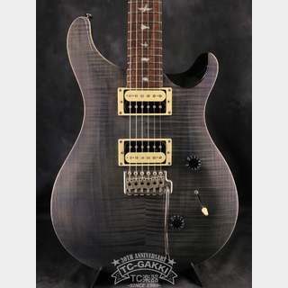 Paul Reed Smith(PRS) SE Custom 24