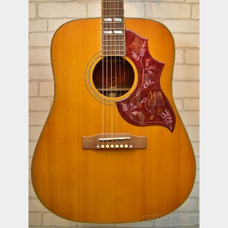 Epiphone Hummingbird AN ～Inspired By Gibson～ #21122307591【送料無料】【金利0%対象】