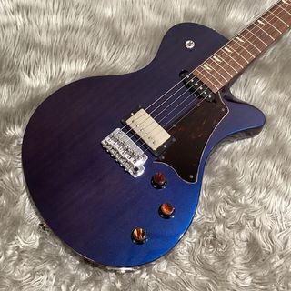 RYOGA、HORNETの検索結果【楽器検索デジマート】