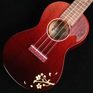 しだれ桜 momose 桜 ギター 2023 Sold Out 桜ギター10周年を記念した椨