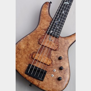 エレクトリック・ベース、Sugi、NB5の検索結果【楽器検索デジマート】