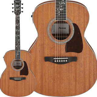 アコースティックギター／エレクトリック・アコースティックギター