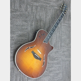 エレキギター、Taylorの検索結果【楽器検索デジマート】