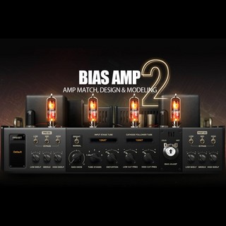 Positive Grid BIAS AMP 2.0 Elite【シリアルメール納品】【代引不可】【2024年12月2日まで63％オフセール】