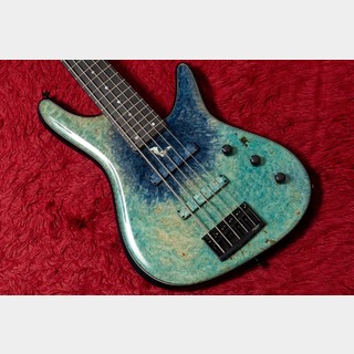 エレクトリック・ベース、Sugi、NB5の検索結果【楽器検索デジマート】