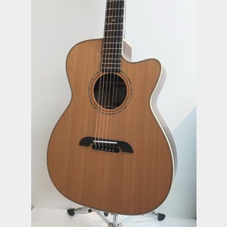 K.Yairi WY-1 / N 【旧価格モデル】