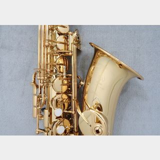 Yamaha、YAS-480の検索結果【楽器検索デジマート】