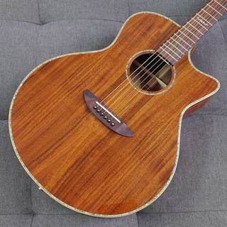 ELK GRAND Koa【小ぶりなボディで使いやすいOMカッタウェイスタイルの万能エレアコモデル】