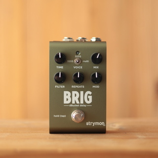 strymon BRIG