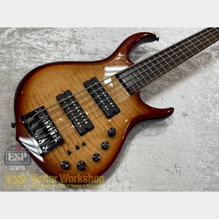 Sire M7 Alder 5st 2nd Generation【Brown Sunburst】