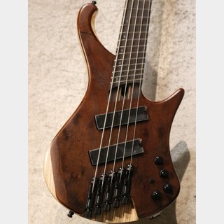 Ibanez EHB1265MS -Natural Mocha Low Gloss-【ヘッドレス】【良木目アッシュバック】