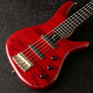 sugi NB5 ハードケース付属(4月6日まで値下げ価格) sugi NB5 ハードケース付属(4月6日まで値下げ価格) 楽器・機材