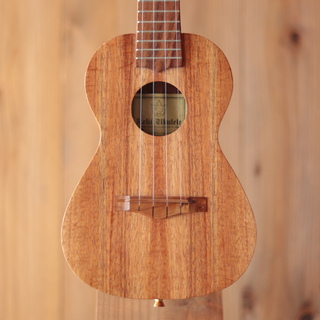 Kelii C-G/V -Concert-