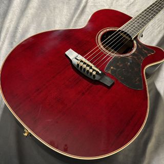 アコースティックギター／エレクトリック・アコースティックギター