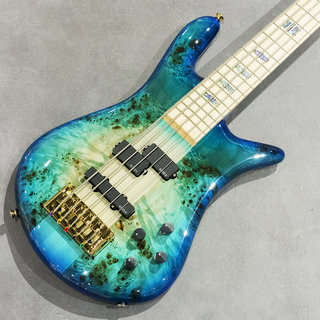 Spector Euro 5 CST Japan Exclusive Natural Blue Burst Gloss【ローン分割48回まで金利手数料無料!】