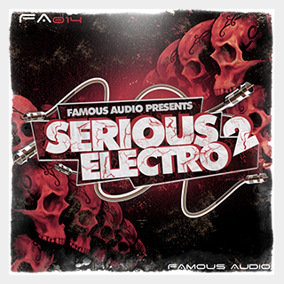 FAMOUS AUDIOSERIOUS ELECTRO 2