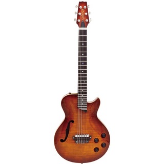MD-MM ProduceSE-01 F AVC エレクトリッククラシックギター