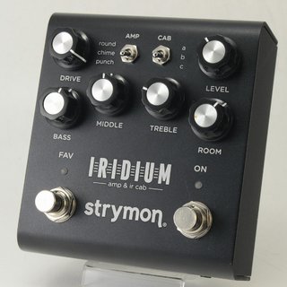 strymon Iridium 【御茶ノ水本店】