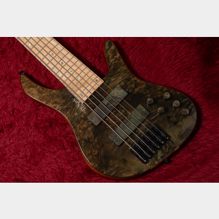 D'mark Guitars ALPHA 6 Special Reserve Series Amazon Green 4.340kg #25B0006【GIB横浜】