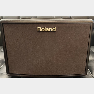 Roland AC-33-RW