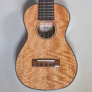 ASTURIAS Tiny Concert Mango LTD 【サウンドメッセ2025出品】