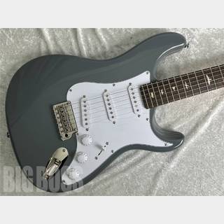 Paul Reed Smith(PRS) SE SILVER SKY (Storm Gray)